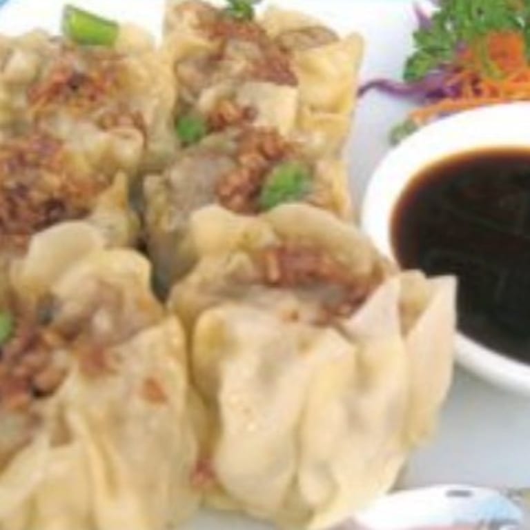 Savor Our Dumplings